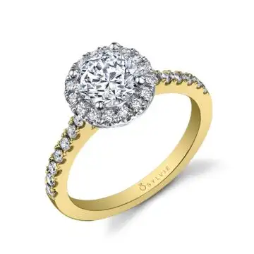 White Gold Round Cut Classic Two Tone Halo Engagement Ring - Chantelle