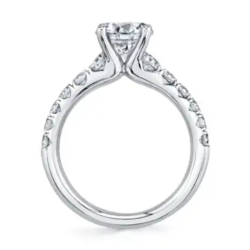 White Gold Round Cut Classic Engagement Ring - Anais