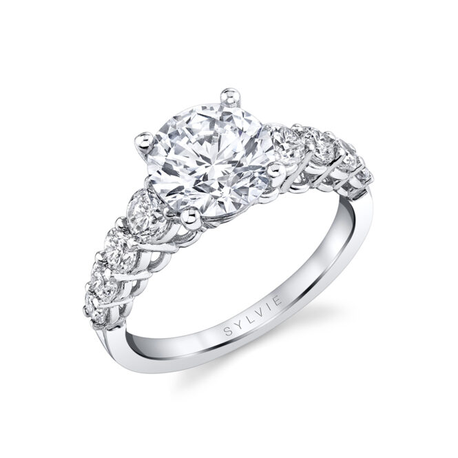 Round Cut White Gold Thick Classic Engagement Ring - Colbie